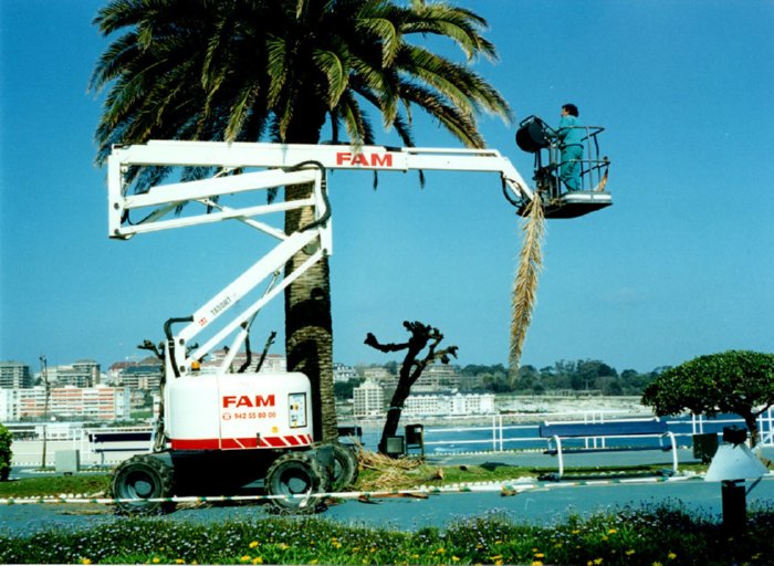 PLATAFORMA PODA